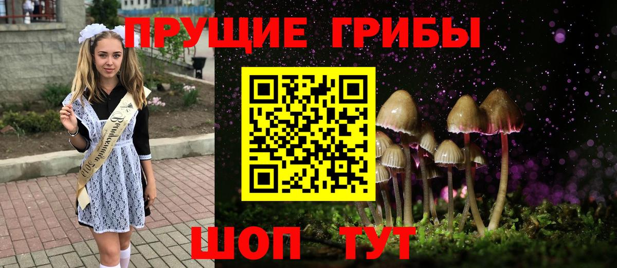 Галлюциногенные грибы GOLDEN TEACHER Ржев