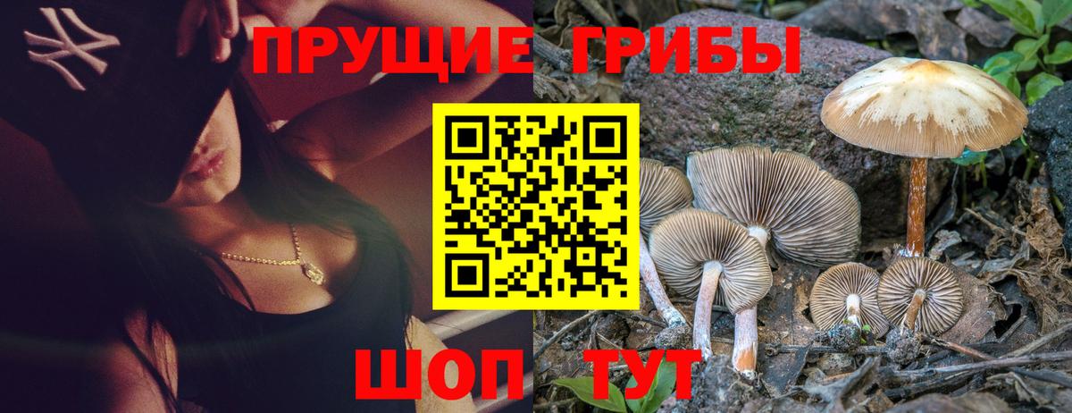 Псилоцибиновые грибы мухоморы  Галлюциногенные грибы Magic Shrooms  Ржев  Вход с VPN 